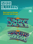 Physical Principles of Ionic Polymer-Metal Composites as Electroactive Actuators and Sensors