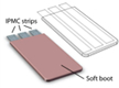 An IPMC-Enabled Bio-Inspired Bending/Twisting Fin for Underwater Applications