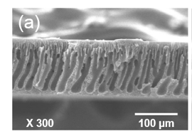 Ultrafiltration Using Graphene Oxide Surface-embedded Polysulfone Membranes