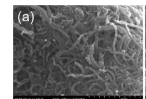 Anti-Biofouling, Thermal, and Electrical Performance of Nanocomposite Coating with Multiwall Carbon Nanotube and Polytetrafluoroethylene-Blended Polyphenylenesulfide
