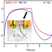 A New High-Performance Ionic Polymer-Metal Composite Based on Nafion / Polyimide Blends