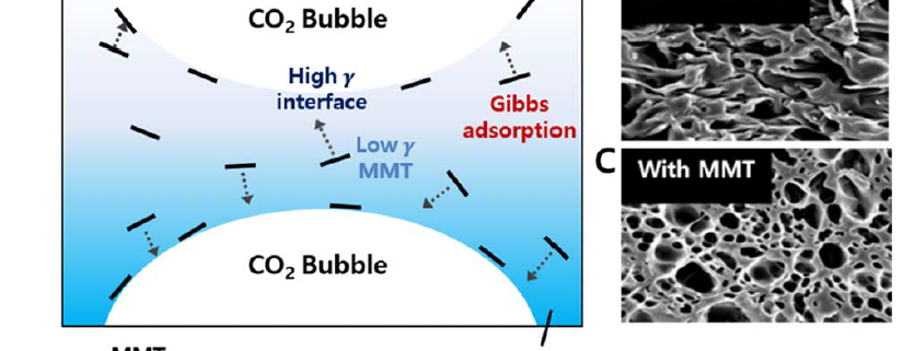 Nanoplatelet reinforcement of cavity cell walls in polymer foams using carbon dioxide supercritical fluid