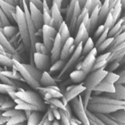 Behavior of an Evaporating Water Droplet on Lubricant-impregnated Nanostructured Surface