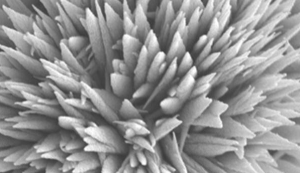 Behavior of an Evaporating Water Droplet on Lubricant-impregnated Nanostructured Surface