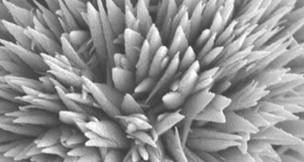 Behavior of an Evaporating Water Droplet on Lubricant-impregnated Nanostructured Surface