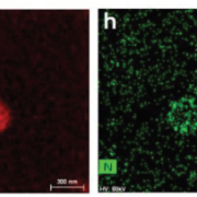 Electroactive Artificial Muscles Based on Functionally Antagonistic Core-Shell Polymer Electrolyte Derived from PS-b-PSS Block Copolymer Electroactive Artificial Muscles Based on Functionally Antagonistic Core-Shell Polymer Electrolyte Derived from PS-b-PSS Block Copolymer