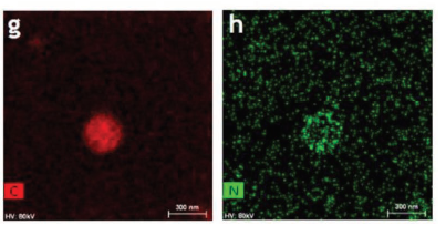 Electroactive Artificial Muscles Based on Functionally Antagonistic Core-Shell Polymer Electrolyte Derived from PS-b-PSS Block Copolymer