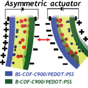 Collectively Exhaustive Electrodes Based on Covalent Organic Framework and Antagonistic Co-Doping for Electroactive Ionic Artificial Muscles