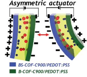 Collectively Exhaustive Electrodes Based on Covalent Organic Framework and Antagonistic Co-Doping for Electroactive Ionic Artificial Muscles