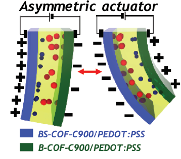 Collectively Exhaustive Electrodes Based on Covalent Organic Framework and Antagonistic Co-Doping for Electroactive Ionic Artificial Muscles