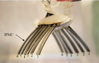 Basic design of a biomimetic underwater soft robot with switchable swimming modes and programmable artificial muscles