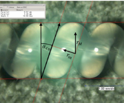 Thermo-mechanical response of the twisted and coiled polymer actuator (TCPA): a finite element analysis (FEA)
