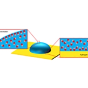 Multiphysics Modeling Framework for Soft PVC Gel Sensors with Experimental Comparisons