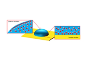 Multiphysics Modeling Framework for Soft PVC Gel Sensors with Experimental Comparisons