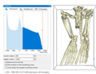 Scalable DICOM 3D-printed phantoms mimicking marine mammal bone and soft tissue